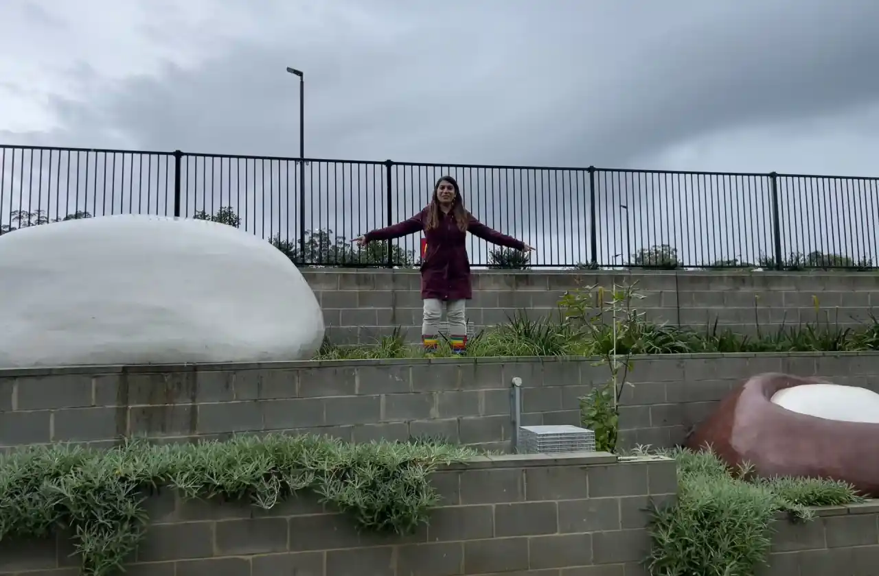 Dr-Mojgan-Habibi-Two-Macadamias-Medowie-Public-art